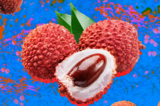 Lychee.png