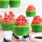 Watermelon cupcakes beauty 1.jpg