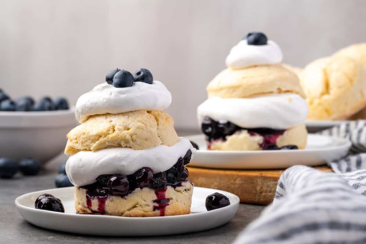 Blueberry shortcake 14.jpg