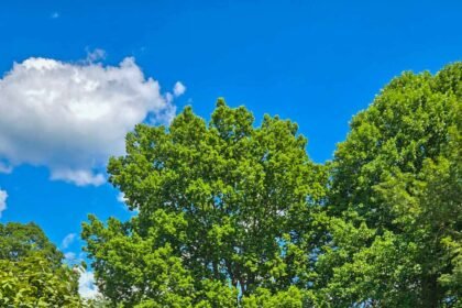 Ohio 476 feature 1 of 1.jpg