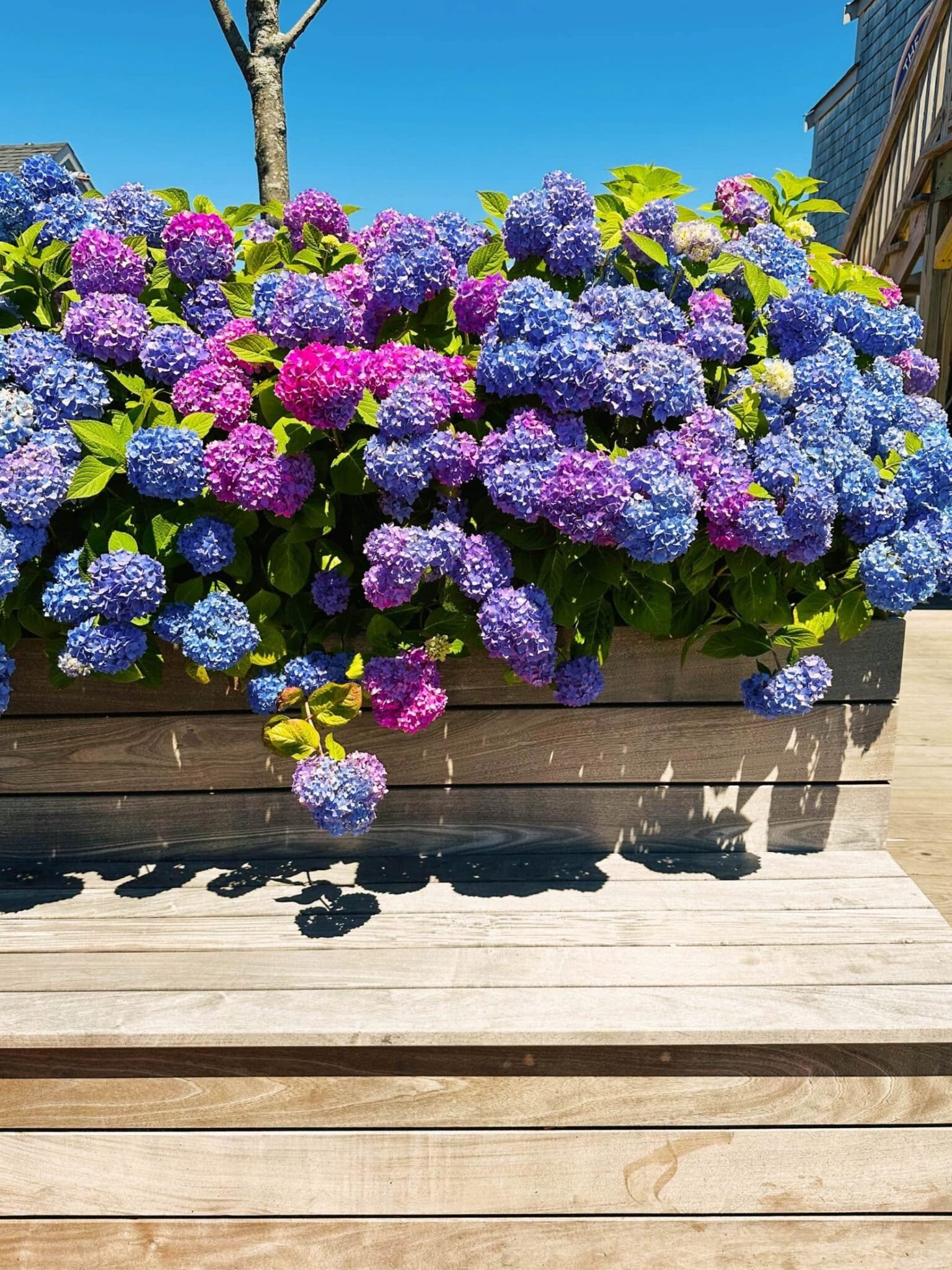 Summer fridays 10 scaled.jpg