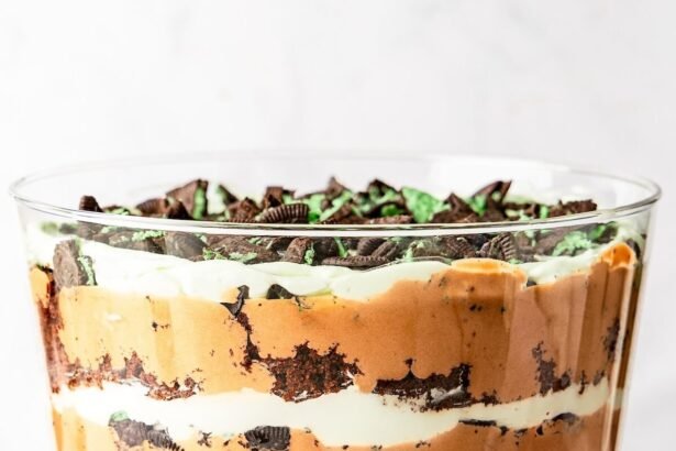 Chocolate mint trifle 8 e1756036295709.jpg