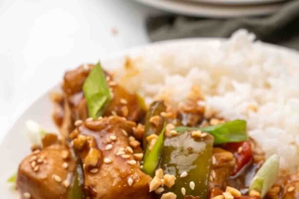 Kung pao chciken hero 12.jpg