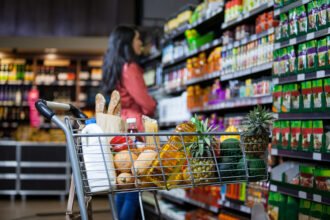 Bigstock various groceries in shopping 171009800.jpg