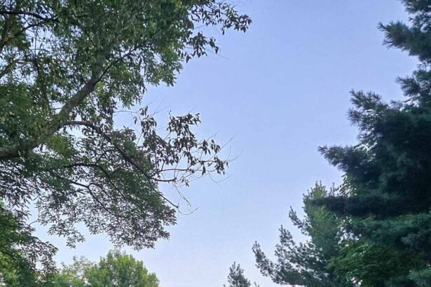 Ohio 481 feature 1 of 1.jpg