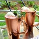 Watermelon moscow mule float1.jpg