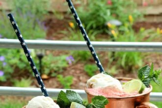 Watermelon moscow mule float1.jpg