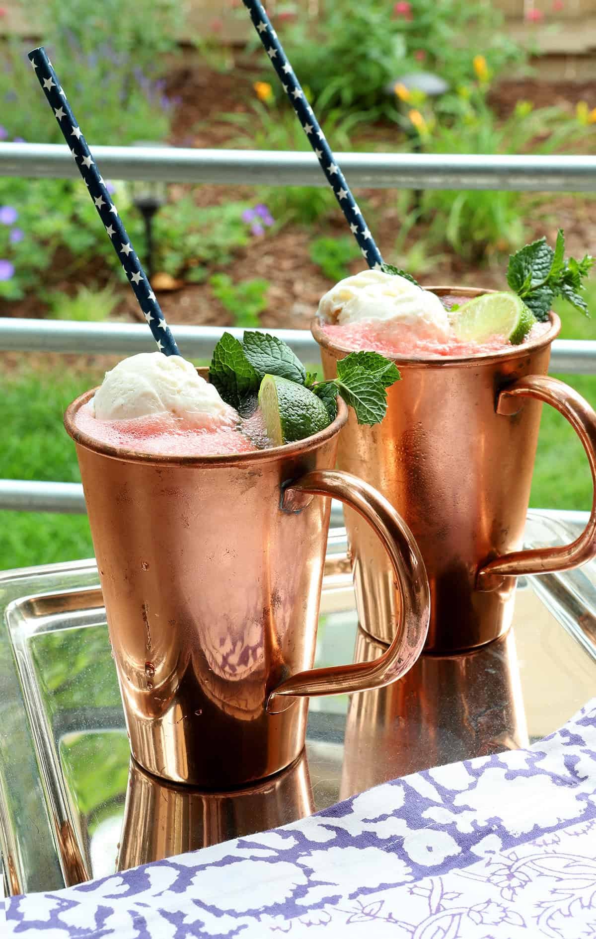 Watermelon moscow mule float1.jpg