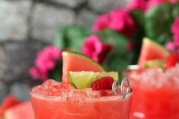 Watermelon raspberry cooler1 1000x1481.jpg