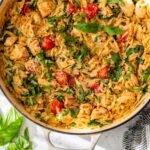 Chicken and orzo horizontal.jpg