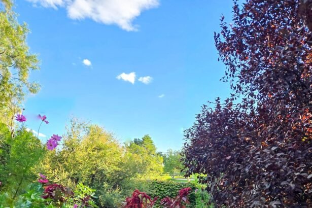 Ohio 468 feature.jpg