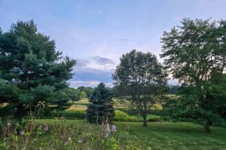 Ohio 485 header 1 of 1.jpg