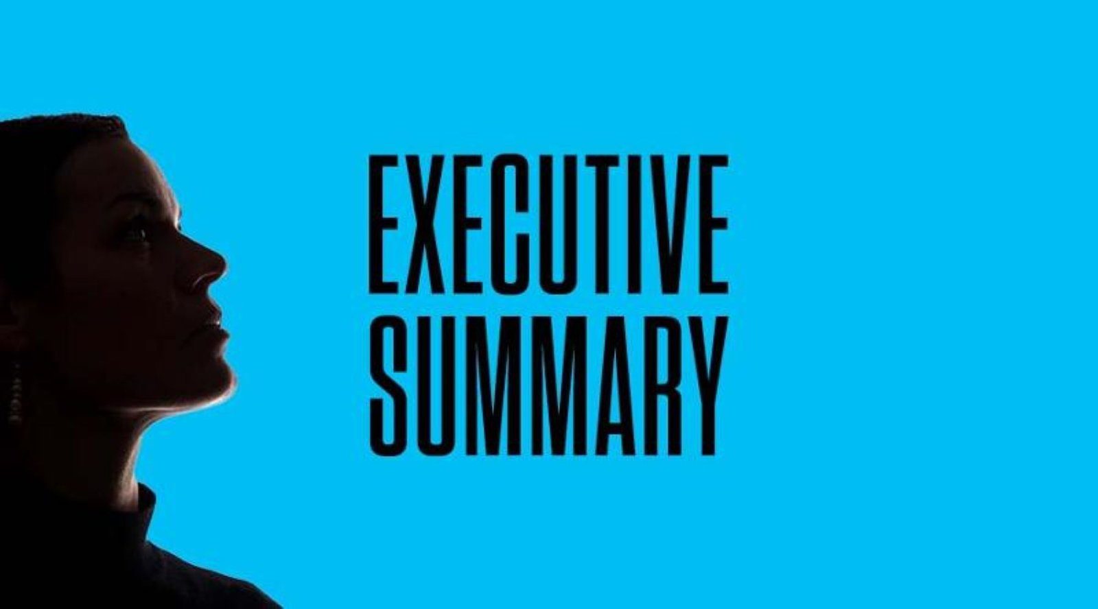 Executive summary opener 2.jpg resized.jpg