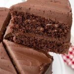 Matilda chocolate cake hero 10.jpg