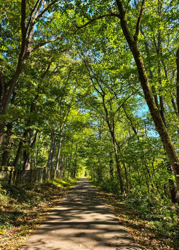 Ohio 489 feature 732x1024.jpg