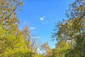 Ohio 490 feature 732x1024.jpg