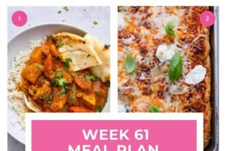 Week 61 meal plan collage .jpg