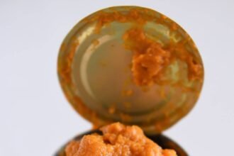 Leftover pumpkin3.jpg