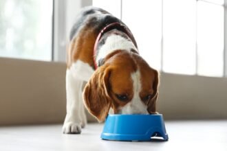 Shutterstock 2107593599 e1759849744260.jpg