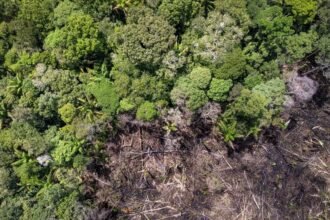 Shutterstock 2471967219 e1756223335336.jpg