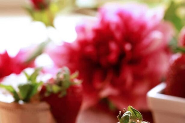 Strawberry mint julepl4.jpg