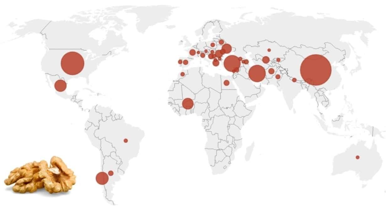Walnut featured map.jpg