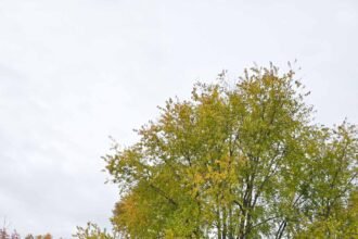 Ohio 493 feature 1 of 1.jpg