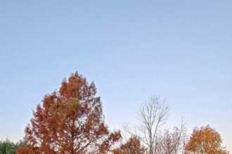 Ohio 495 feature.jpg