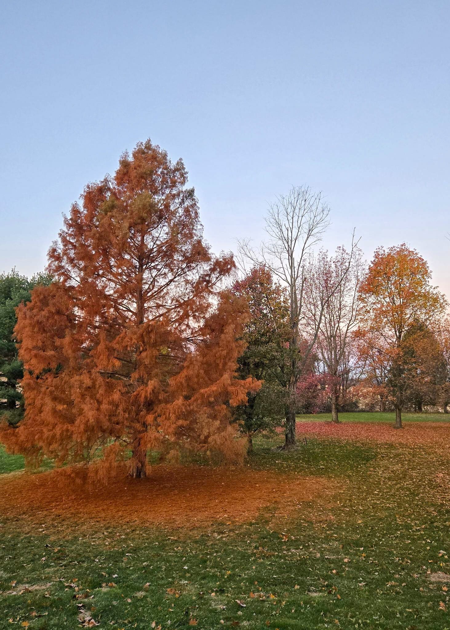Ohio 495 feature.jpg