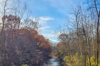 Ohio feature 497.jpg