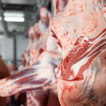 Screenshot 2025 11 14 122535 e1763123532370.png