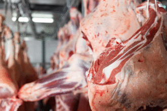 Screenshot 2025 11 14 122535 e1763123532370.png