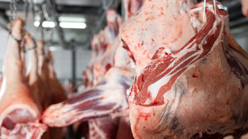 Screenshot 2025 11 14 122535 e1763123532370.png