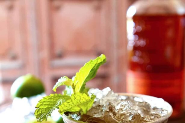 Mint julep1.jpg