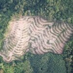 Shutterstock 1056831881.jpg