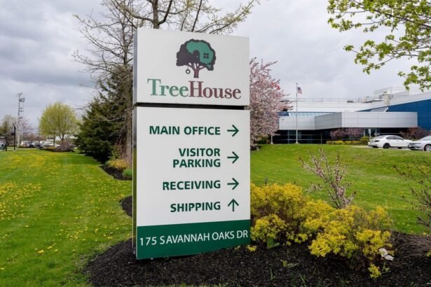 Shutterstock 1971456089 e1729599160836.jpg