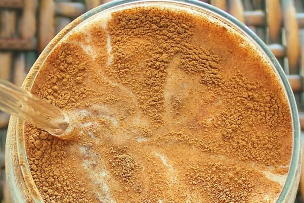 Healthy eggnog recip high protein dairy free.jpg