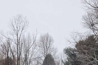 Ohio 499 feature 1 of 1.jpg