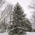 Ohio 499 feature.jpg