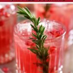 Pomegranate rosemary gin fizz pin color2.jpg