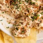 250129 dd caramelized onion dip 563.jpg