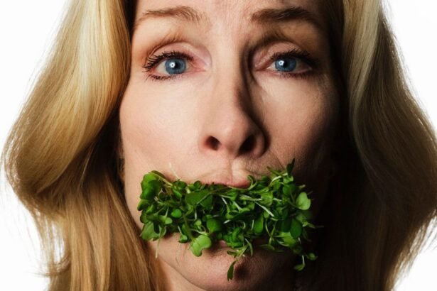 55778c5131e1dd37eff6960770fcff5a0b nymag veganism0236 copy.1x.rsocial.w1200.jpg