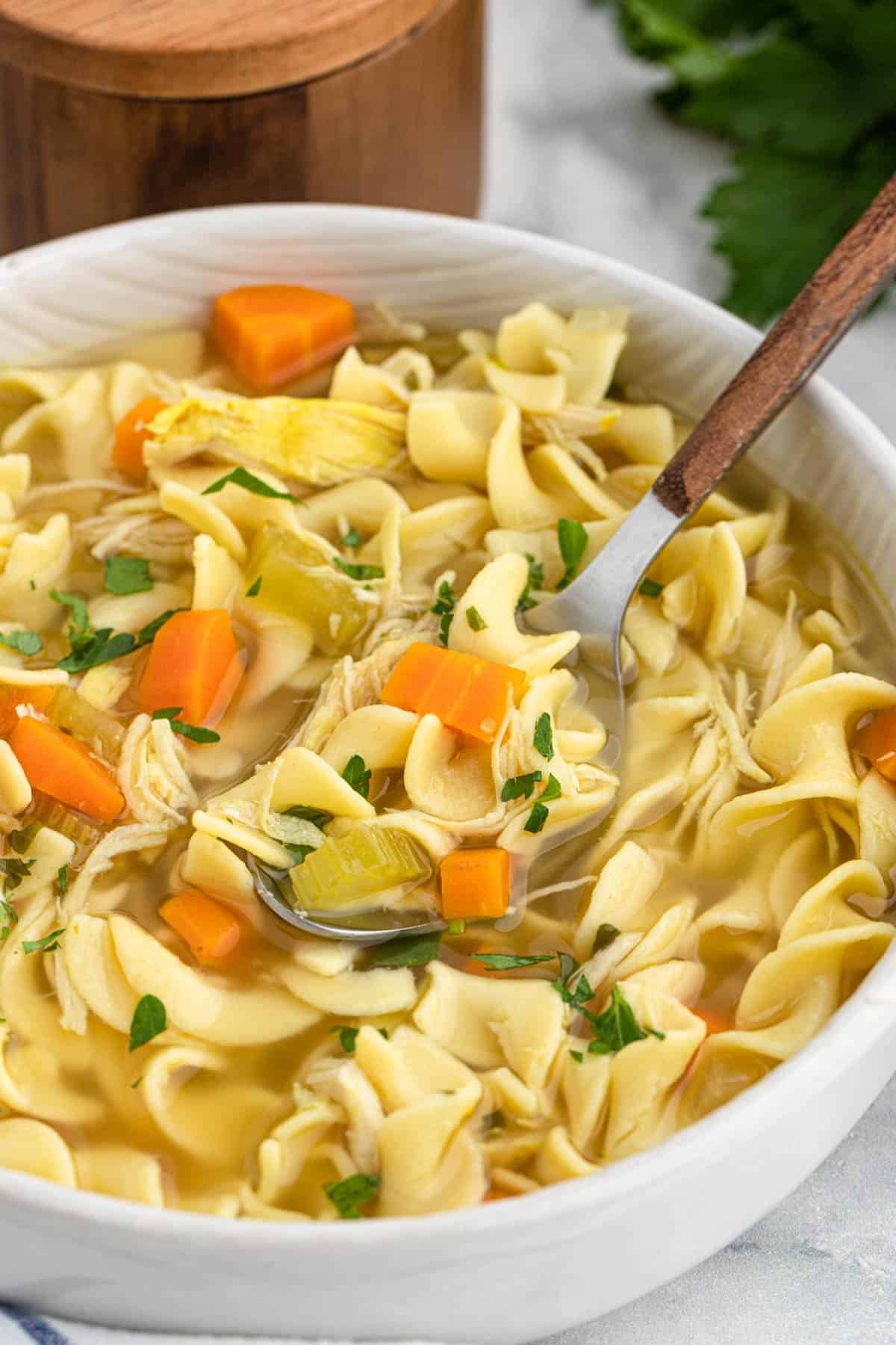 Slow cooker chicken noodle soup 3.jpg