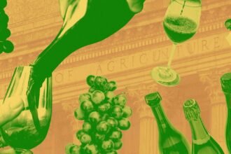 Social organic natural wine usda rules.jpg