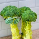 What is broccoli.jpg