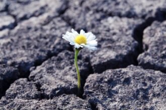 Cover image agbs4pez adobestock 312378248.jpeg.720x405 q85 crop upscale.jpg