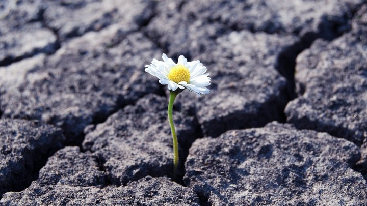 Cover image agbs4pez adobestock 312378248.jpeg.720x405 q85 crop upscale.jpg