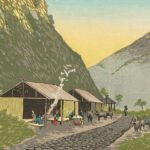 Sake virgin social.jpg