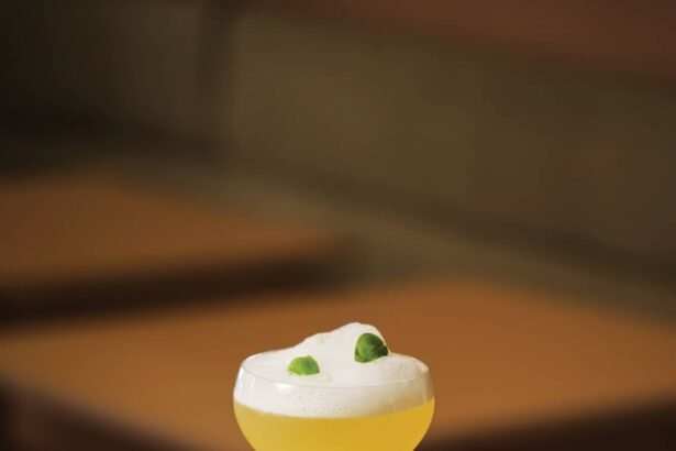 Scenescout san juan identidad juniper paradise crdt frann negron.jpg