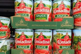 Shutterstock 2626637359.jpg